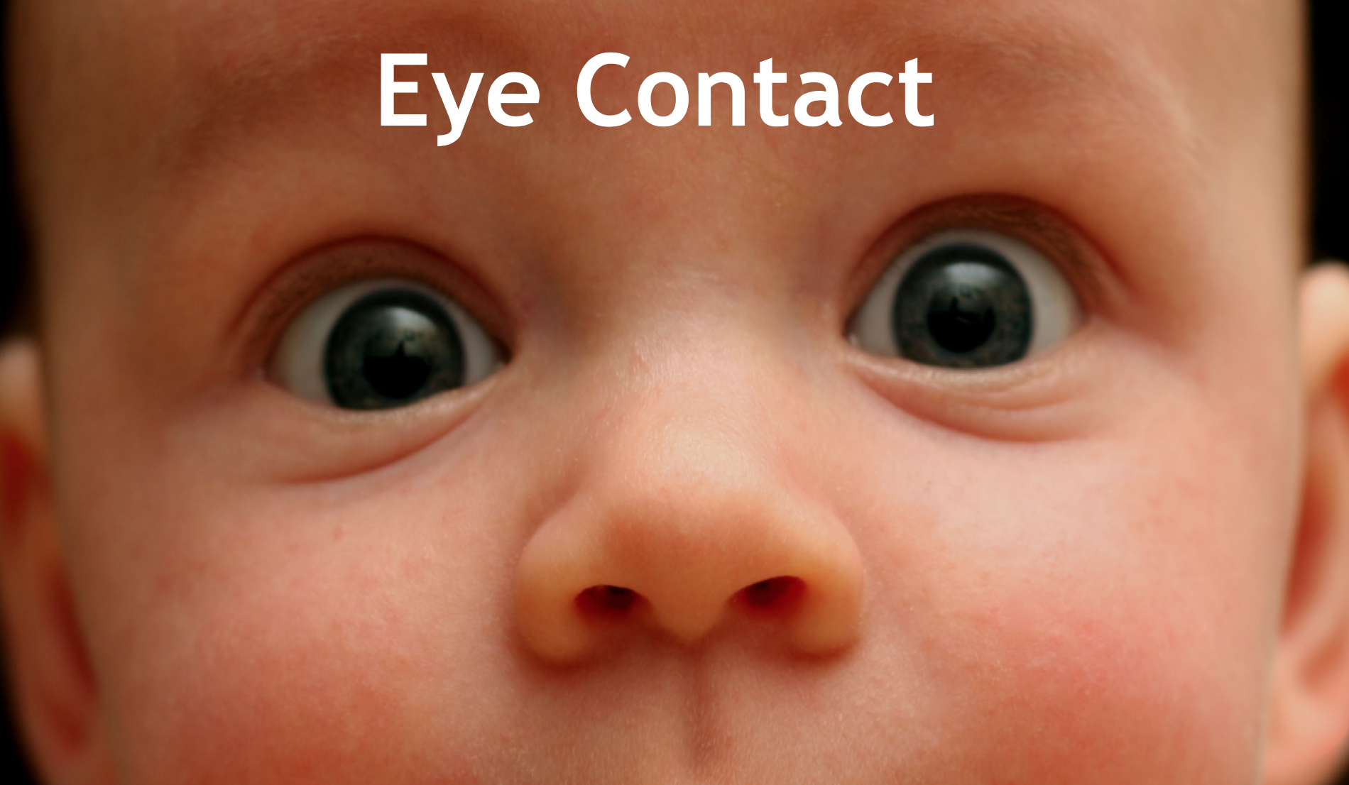 Screen Shot 2019-11-18 at 9.12.57 PM